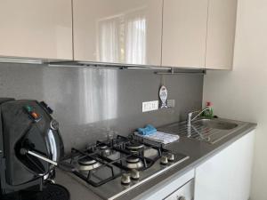 A kitchen or kitchenette at Estate Riomaggiore
