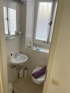 baño con lavabo y aseo y 2 ventanas en königsnachbar, en Ludwigsburg