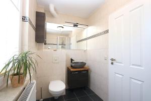 a bathroom with a toilet and a sink and a mirror at Haus Ostseenordstern Nienhagen in Nienhagen