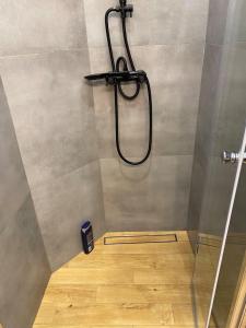 a shower with a shower head and a shower at Apartament z kominkiem in Łódź