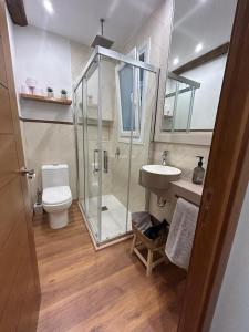 a bathroom with a shower and a toilet and a sink at Kareharri Piso en Casco Viejo de Zarautz in Zarautz