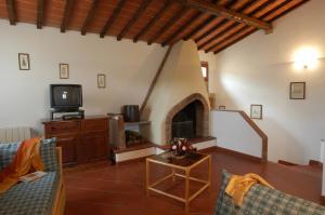een woonkamer met een open haard en een televisie bij Comiti Farmhouse Apt Venere in Montaione