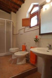 een badkamer met een toilet en een wastafel bij Comiti Farmhouse Apt Venere in Montaione