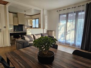 a living room with a table with a potted plant on it at Maison Paris, Vallée Village, Disney & Astérix in Chelles