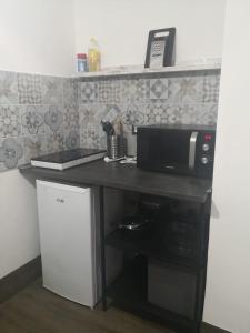 a kitchen with a counter with a microwave and a refrigerator at Al piccolo borgo in Trevignano Romano