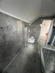 een badkamer met een wastafel en een toilet bij Villa Durmic in Sarajevo