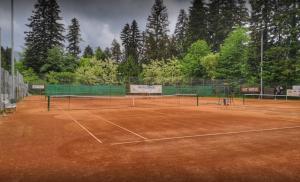um campo de ténis com duas redes de ténis em Vineyard Cottage Vidrih em Dolenjske Toplice