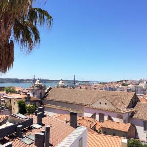 - une vue sur une ville avec des toits et un palmier dans l'établissement Centro de Lisboa Zona histórica, à Lisbonne