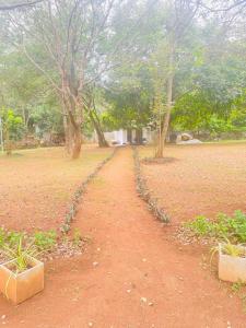 un camino de tierra en un parque con árboles y un edificio en Ima Villa Sigiriya en Sigiriya