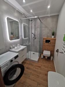 a bathroom with a shower and a sink and a toilet at Sunny Apartament in Darłowo