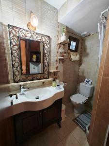 een badkamer met een wastafel, een toilet en een spiegel bij Lindian Jewel Exclusive Apartments in Lindos