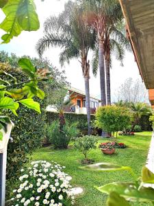 a garden with palm trees and a house in the background at Maresole tra l'Etna e Taormina in Mascali