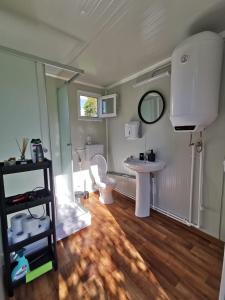 a small bathroom with a toilet and a sink at Green Garden Glamping Retezat in Bălan