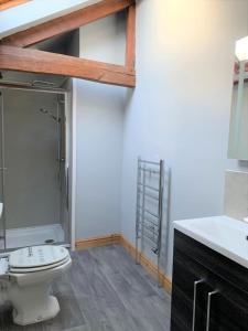 a bathroom with a toilet and a sink at Studio 3B The Carriage House York 6m Village Location in York