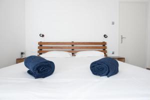 雅典的住宿－Radiant Apt in Athens centre，床上有两条蓝色的毛巾
