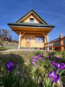 Łysina的住宿－Pieśń Poranka Domek，一座小房子,有 ⁇ 羊屋顶和紫色的鲜花