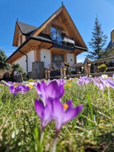 a group of purple flowers in front of a house at Apartamenty BENITA in Zakopane