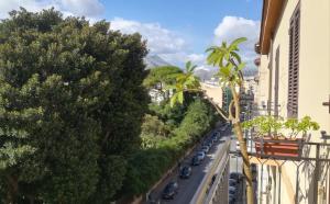 a city street with palm trees and cars at La casa sull'albero in Palermo