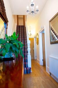 a living room with a staircase and a potted plant at Rare London 6bedroom House in South Norwood