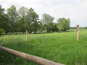 a fence in a field with green grass at Ferienwohnung Schwienautal in Hanstedt