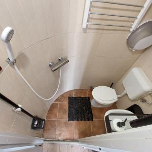 a small bathroom with a toilet and a shower at Lima Mini - cozy apartment - in Győr