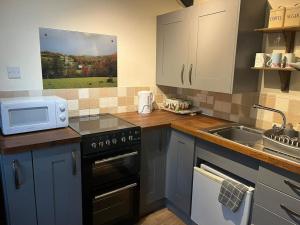 a kitchen with a sink and a stove top oven at Homer Barn in Tavistock