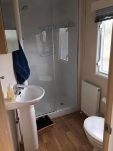 a bathroom with a shower and a sink and a toilet at Hill View in Ballantrae