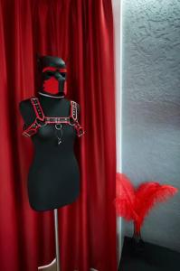 a mannequin in front of a red curtain at BDSM apartmán v Bratislave -ADULTS ONLY in Bratislava