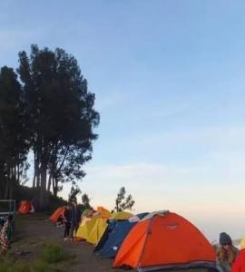 a group of tents on top of a hill at RINJANI EXPEDITION BASECAMP in Masbagik