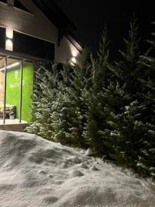 un grupo de árboles de Navidad delante de una tienda en Vilgrand, en Vatra