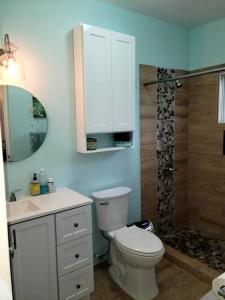 a bathroom with a toilet and a sink and a shower at Retreat2Jamaica in Runaway Bay