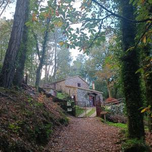 um caminho que leva a uma casa de pedra na floresta em Casa Bodega Sacra em Pereiro de Aguiar