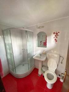 a bathroom with a toilet and a shower and a sink at Pensiunea Cristiion in Măţău