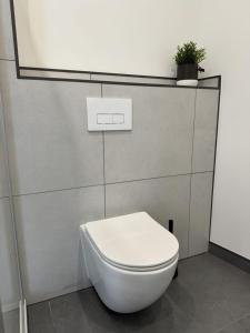 a white toilet in a bathroom with a plant at Edersee Apartment Seeblick 2 in Waldeck