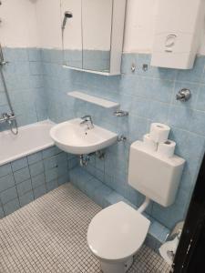 a bathroom with a toilet and a sink at Gästewohnung in Adolf Grimme Stadt Marl in Marl