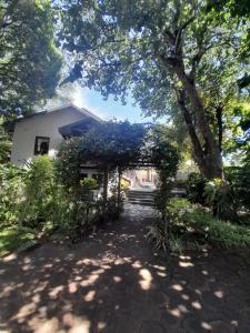 a building with a tree in the middle of a yard at Figtree Lane Lodge in Richards Bay