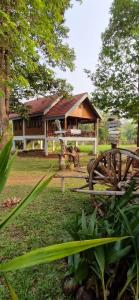 a house with a building in the background with a garden at BOLAVEN GARDEN Bungalow and tent - Tad Lo in Ban Kiangtat