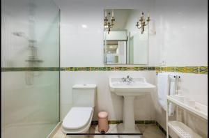 a bathroom with a toilet and a sink and a shower at Lovely loft junto a la Giralda in Seville