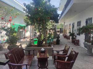 d'une terrasse avec des tables, des chaises et un arbre. dans l'établissement NEW WAVE HOMESTAY, à Ấp Khánh Phước (1)
