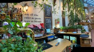 a store with potted plants and signs on the wall at Pensiunea Gasthaus Alte Post in Sighişoara