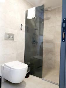 a bathroom with a toilet and a shower at Hotel Kriti in Antalya