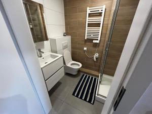a bathroom with a toilet and a sink and a shower at City View Studio in Wrocław