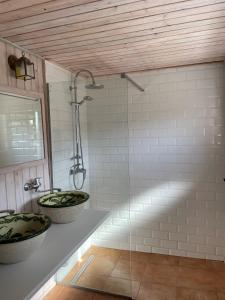 a bathroom with two sinks and a shower at K Zastavce 557 in Kovářská