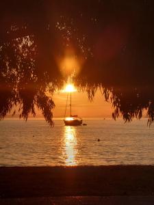 Gallery image of Blue Hug Apartments in Plataria