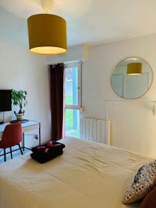1 dormitorio con cama, escritorio y espejo en Chez Jade - Spa, Gare et centre ville en Rennes