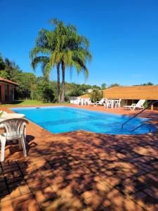 a swimming pool with a palm tree next to a house at Pousada das Missoes in São Miguel das Missões