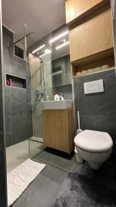 a bathroom with a shower and a toilet and a sink at Sarajevo Charm Apartment in Sarajevo