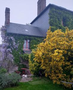 Zahrada ubytování Les chambres d'hôtes Le Val d'Honfleur