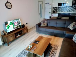 TV a/nebo společenská místnost v ubytování Eryaman, Wide Luxury Rezidance