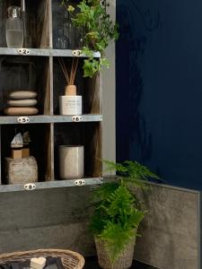 a shelf with potted plants in a room at The Seawitch - harbourside apartment in Mousehole